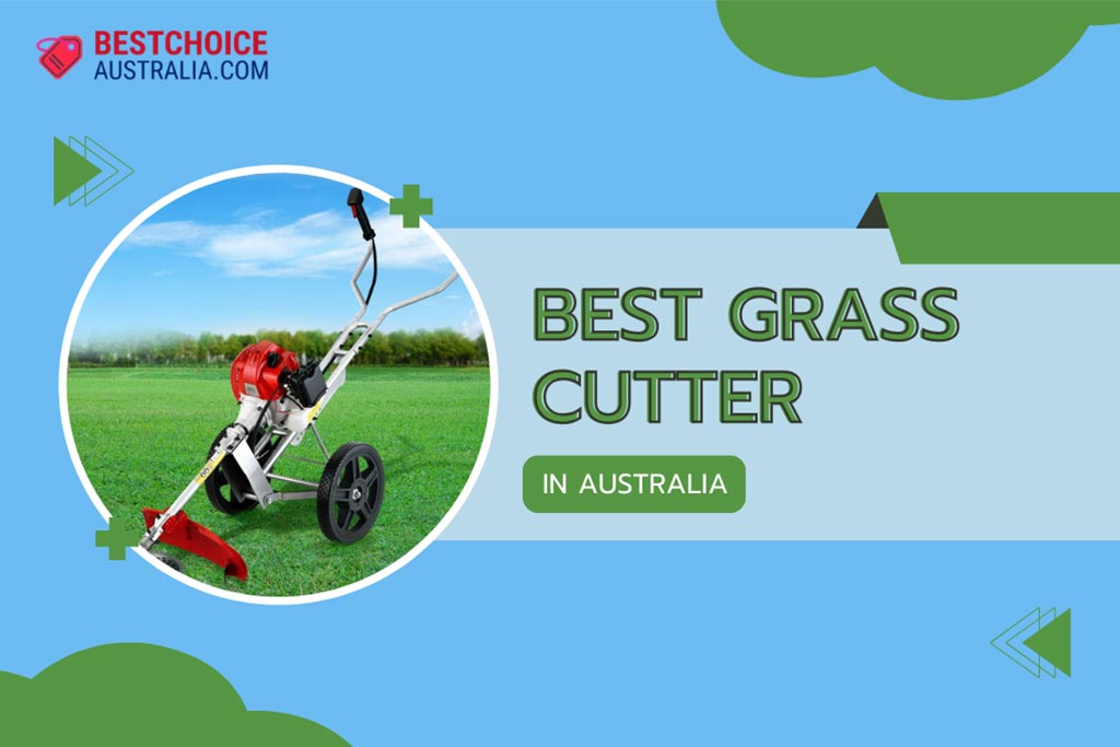 8 Best Grass Cutter in Australia 2024: Top Brands