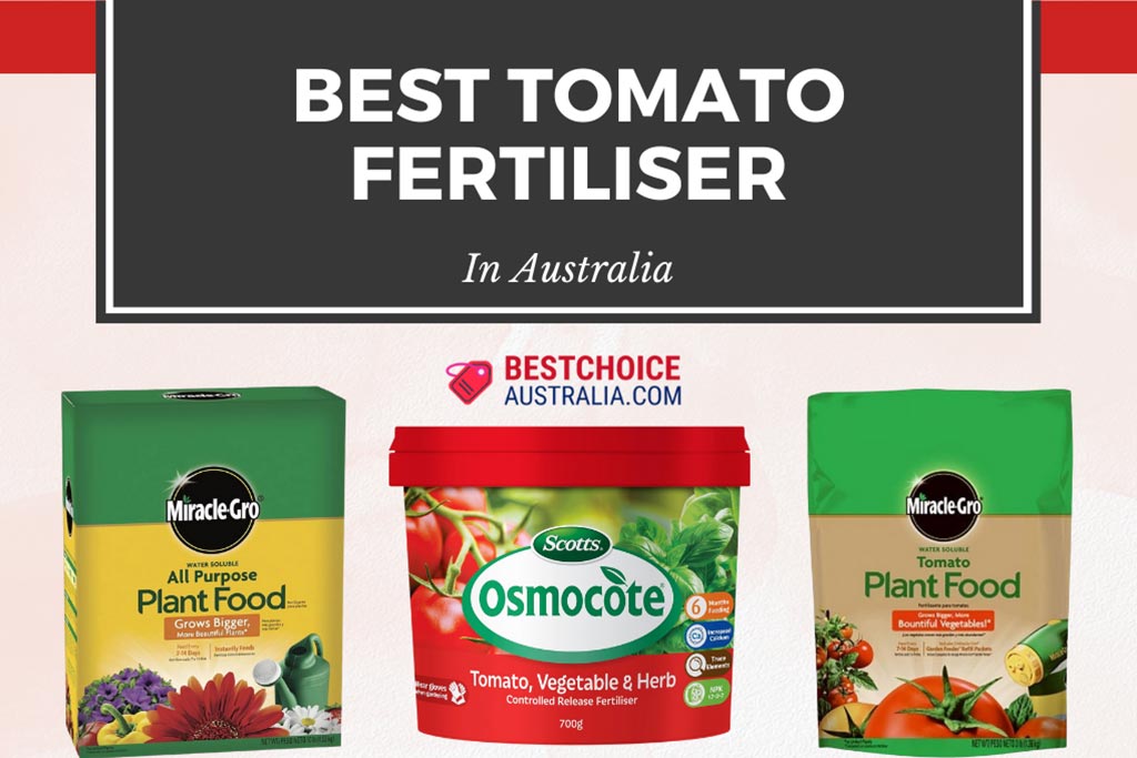 10 Best Tomato Fertiliser in Australia 2024: Top Picks