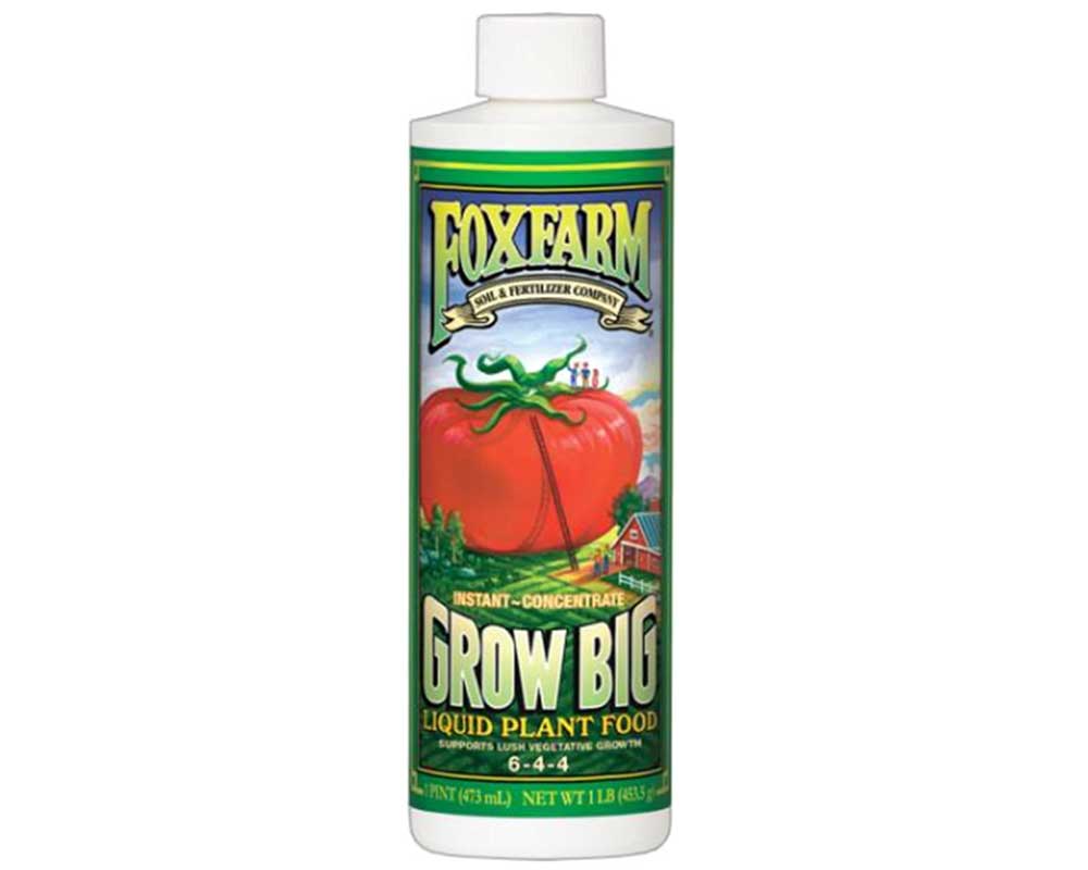 Best Liquid Tomato Fertiliser