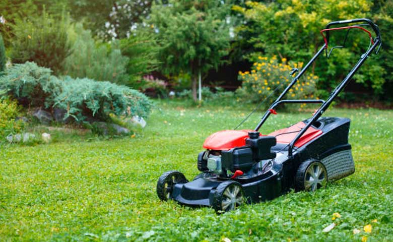 Selecting a Grass Cutter