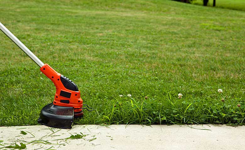 Cutting With a Lawn Trimmer